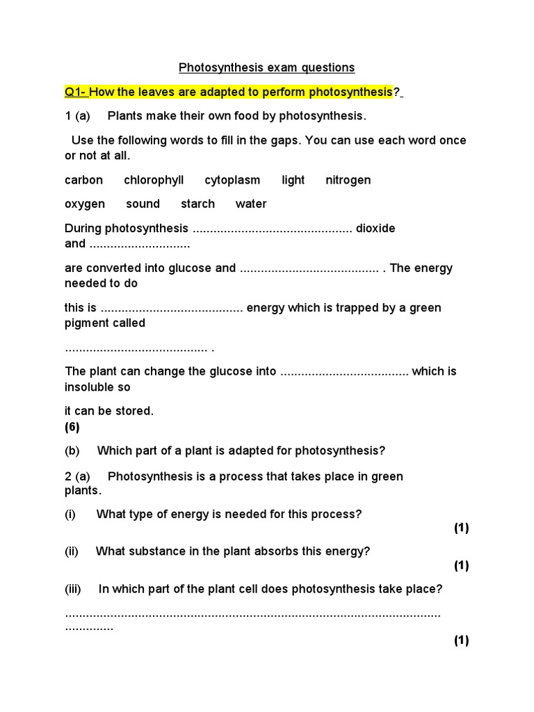 Photosynthesis Exam Questions PDF Photosynthesis Plants