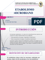 Metabolismo Microbiano-Grupo 5
