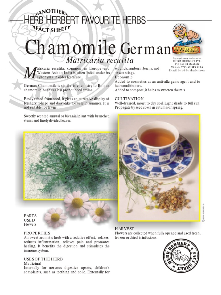 Chamomile German-Herbal Tea | PDF