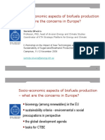 Socio-Economic Aspects of Biofuels Production - What Are The Concerns in Europe?