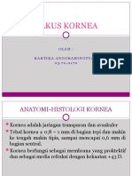 Dokumen.tips Power Point Ulkus Kornea 55b3458089733