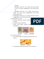 Morphology of Parsite Eggs Report