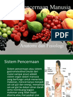Anatomi Dan Fisiologi Sistem Pencernaan
