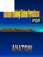 Anatomi Fisiologi Sistem Pernafasan