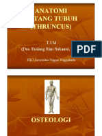 Anatomi-THRUNCUS (1)