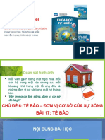 Bài 17 - Tế bào