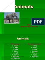 5165 Animals