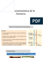 Teoría cromosómica de la herencia: genes, ligamiento y determinación del sexo