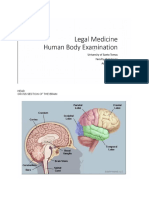 LEGMED Human Body Exam, Wound Classifications (4-11nov21)