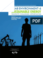 Sustainable Energy: Arab Environment 6