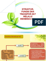 Struktur, Fungsi Dan Transpor Zat Melalui Membran