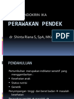 DR Shinta - PERAWAKAN PENDEK