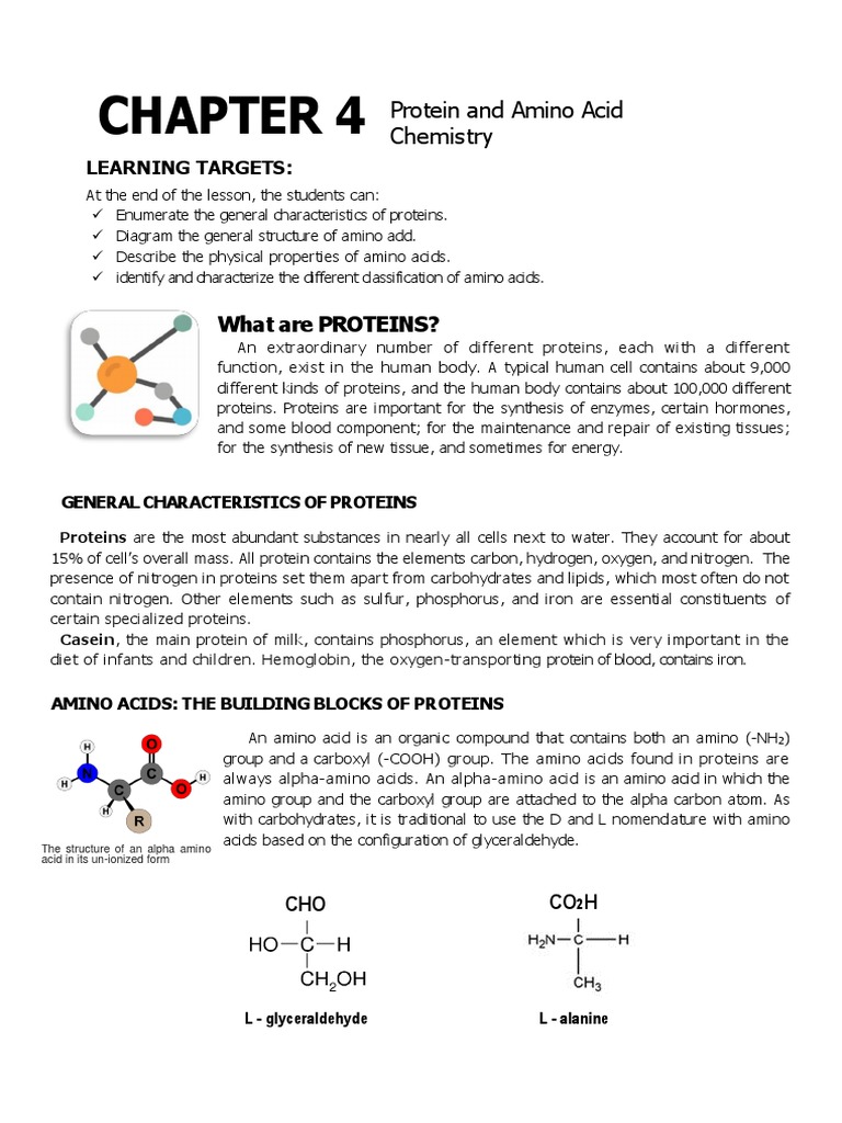 Biochemistry Chapter 4 | PDF | Amino Acid | Proteins