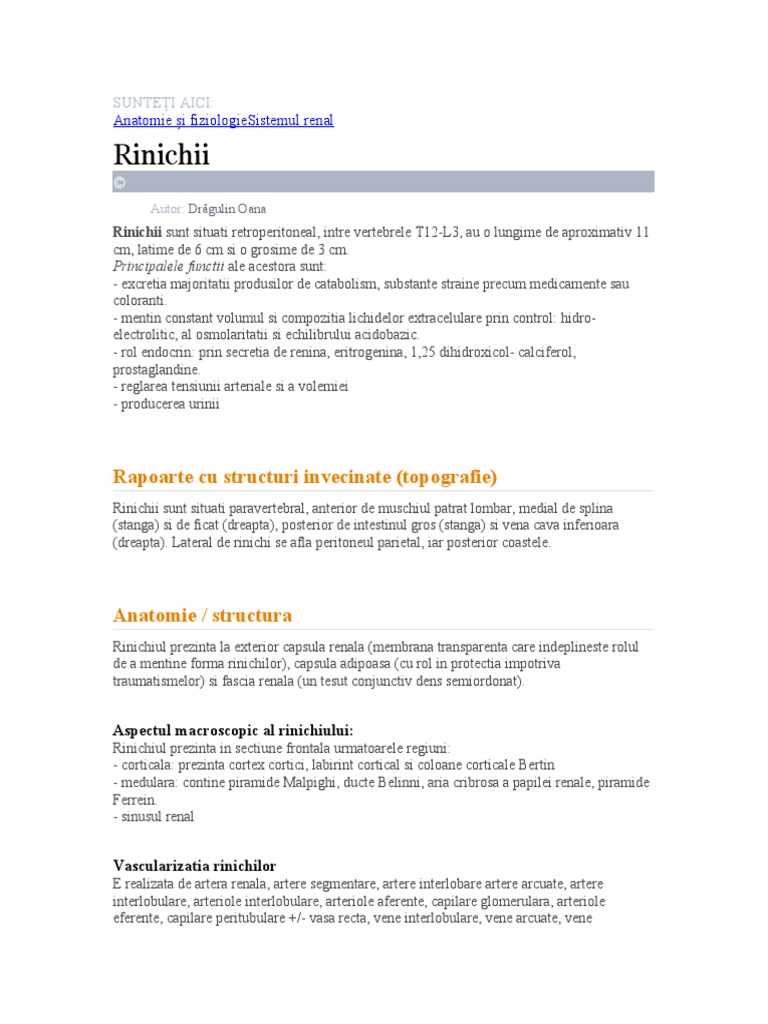 RINICHI | PDF
