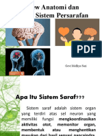 Review Anatomi Dan Fisiologi Sistem Persarafan