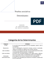 2. Rorschach y Zulliger. Determinantes (2)