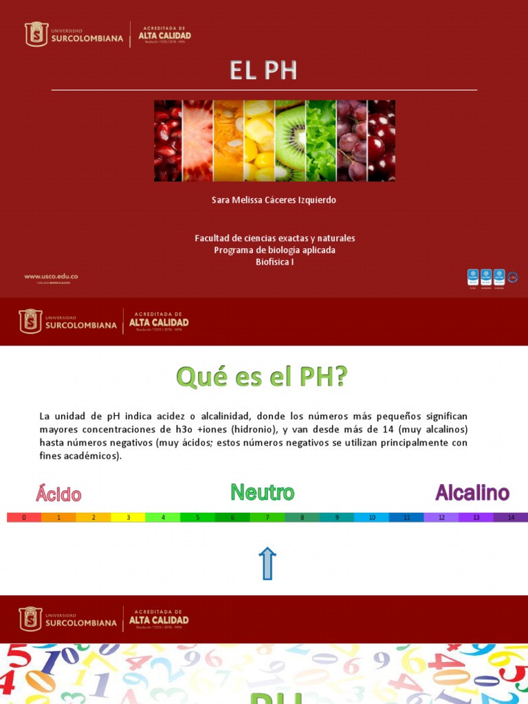 El PH | PDF