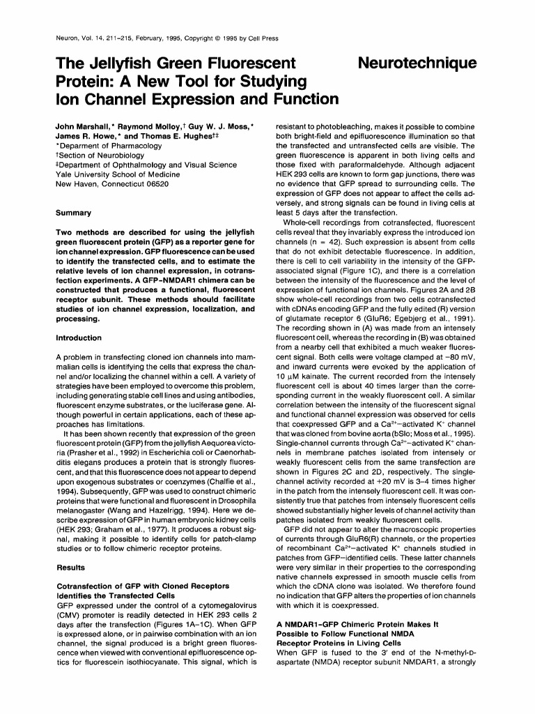 The Jellyfish Green Fluorescent Protein A New Tool For Studying Ion