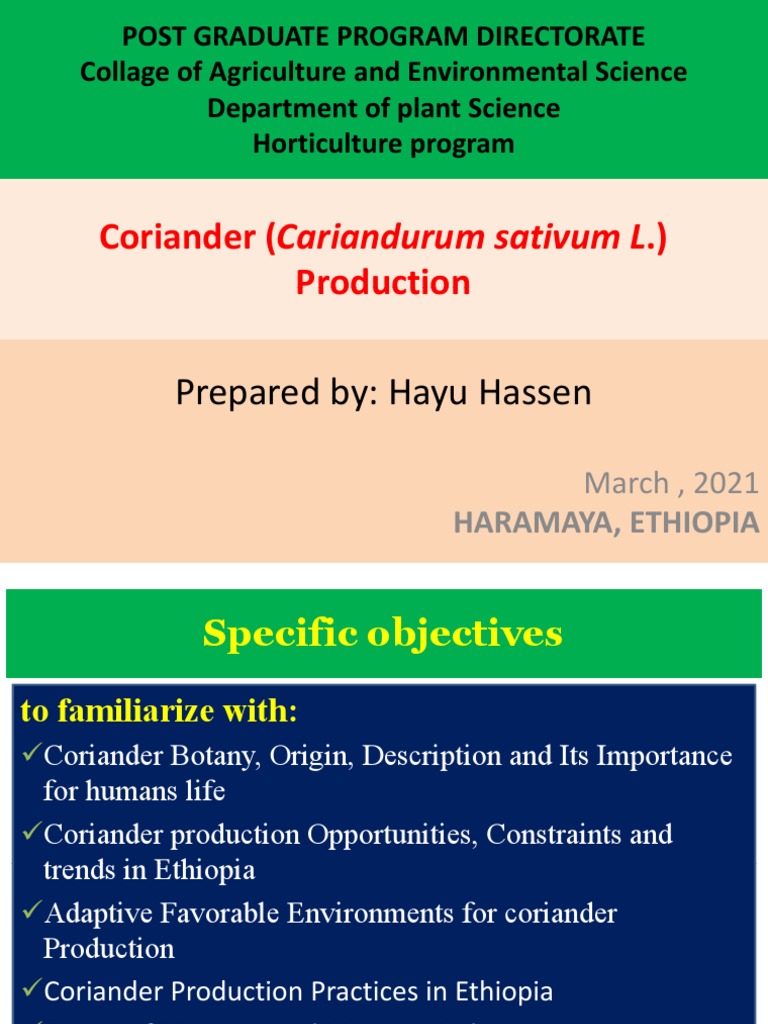 Coriander (Cariandurum Sativum L.) Production in Ethiopia PDF
