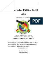 Area Privada Civil Ordinario -Usucapion