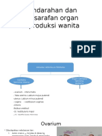 Vaskularisasi Sistem Reproduksi Wanita Dan Persarafan