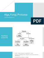 Mikrobiologi Farmasi Alga, Fungi, Protozoa
