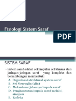 Pertemuan 2 Anfis Sistem Saraf