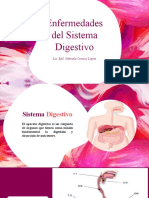 Enfermedad Digestiva