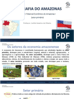 Potencial Econômico Do Amazonas I