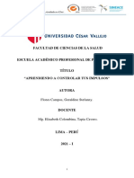 Plan de Tratamiento - Cognitivo Conductual - Estudio de Caso Trastorno Explosivo Intermitente