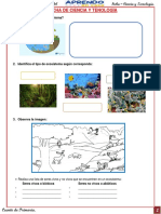 Ficha Ciencia y Tecnologia