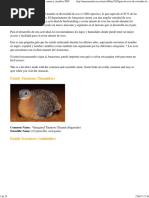 Guia de Aves en Colombia - Foto Con Nombre Comun y Cientifico PDF