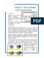PDF Informe Inorganica Halogenos DD