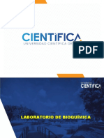 Bioquímica Laboratorio Sem-05 - Determinación de Urea 2021-2