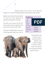 Elephant: Fast Facts