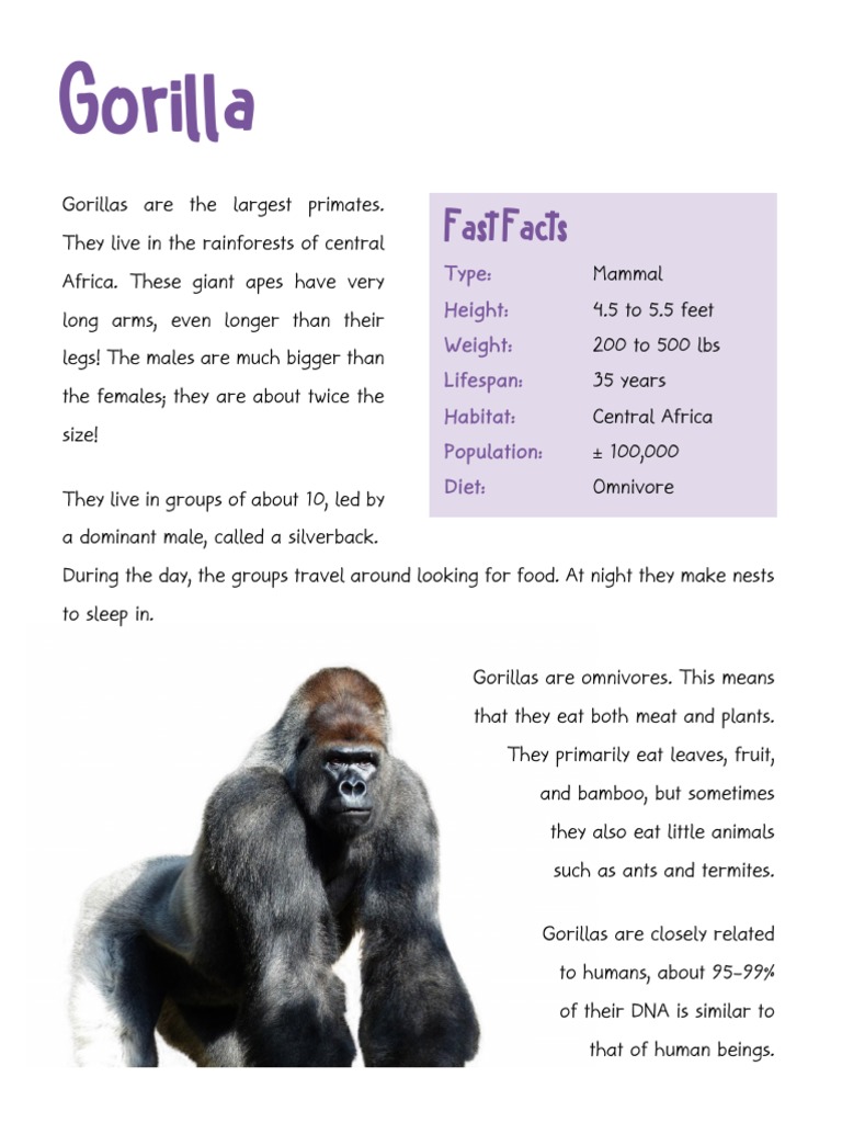 Gorilla | PDF | Gorilla | Zoology