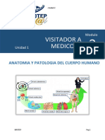 Guia 2 Modulo 2 V.M Anatomia y Posologia