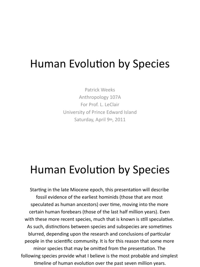 Anth Project PWeeks | PDF | Homo | Human Evolution