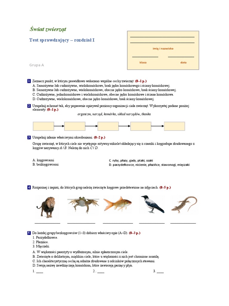 Biologia Klasa 6 Sprawdzian Dzial 2