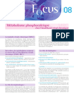 08 Focus Metabolisme Phosphocalcique Biomnis