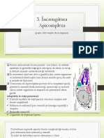 3. Apicomplexa