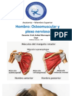 1.-Anatomia Del Hombro