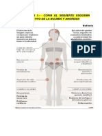 Analisis de Los Peligros Adolescentes Anorexia y Bulimia