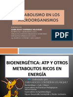 Metabolismo en Los Microorganismos