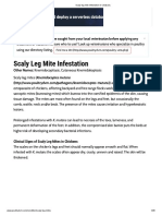 Scaly Leg Mite Infestation in Chickens