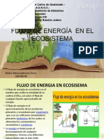 Flujo de Energía en El Ecosistema