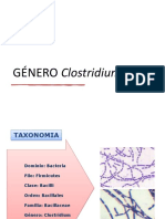 Genero Clostridium 2021
