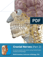 Cranial Nerves Lab
