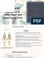 The Skeletal System: Structure and Function