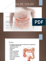 Semiologia de Colon